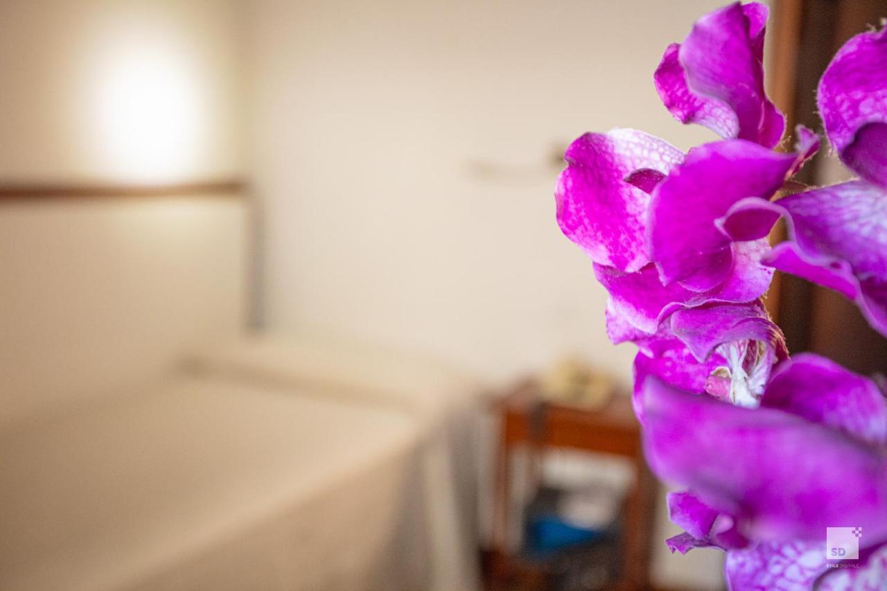 Hotel Blumen Collection By Gsa Hotels Bologna Exterior photo